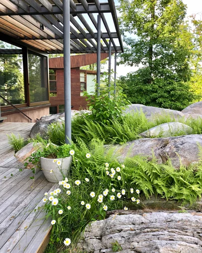 Contemporary deck surrounded by large rocks and greenery